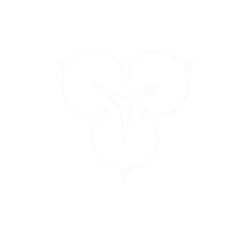 Maschseegold